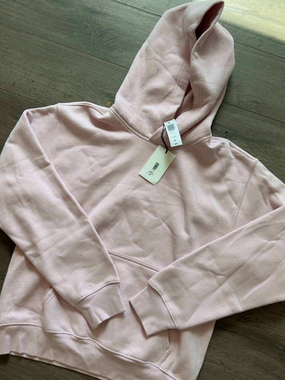 Aritzia Pale Pink Hooded Sweatshirt